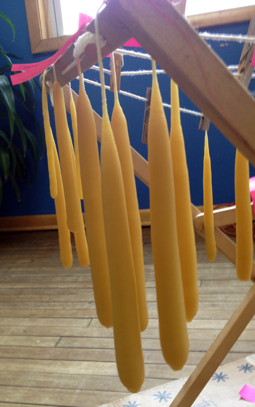 Beeswax candles hanging to solidify